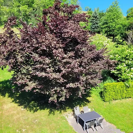 Apartment Forsthaus Willingen (Upland)