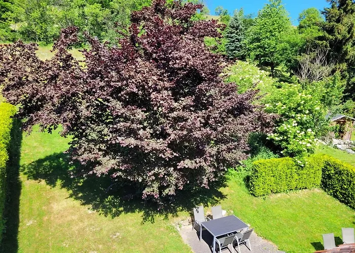 Апартаменты Forsthaus Виллинген